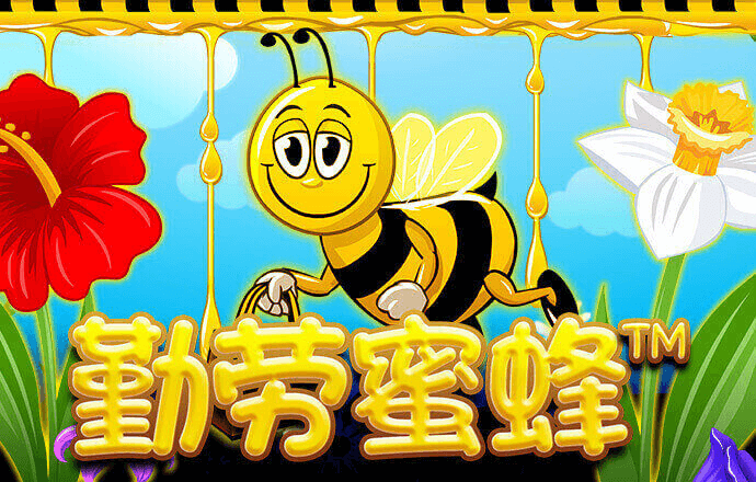 玩球体育直播